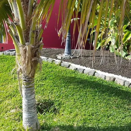 Pink House * Ponta do Sol (Madeira)